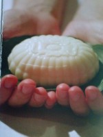 /album/palazzo-fiorentino/cam01344-jpg/