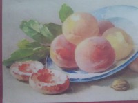 /album/palazzo-fiorentino/cam01388-jpg/